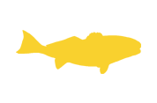 fishing charters galvestontx
